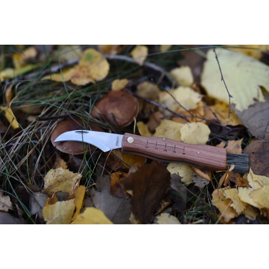 Main Mushroom Knife – 75mm Mushroom Foraging Knife with Wooden Handle 2