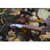 Main Mushroom Knife – 75mm Mushroom Foraging Knife with Wooden Handle