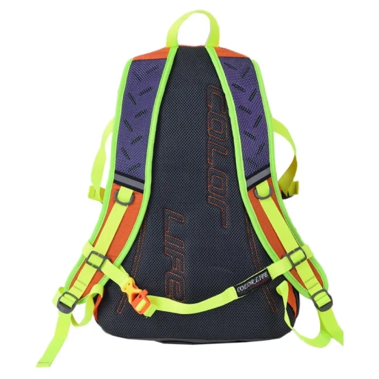 Σακίδιο Πλάτης Colorlife Sky Blue 2